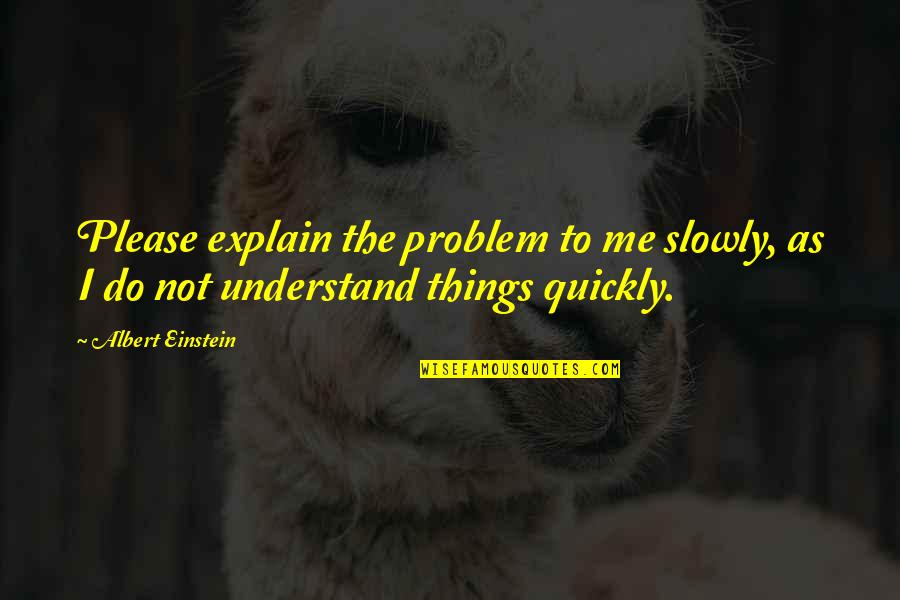 Team Lunch Quotes By Albert Einstein: Please explain the problem to me slowly, as