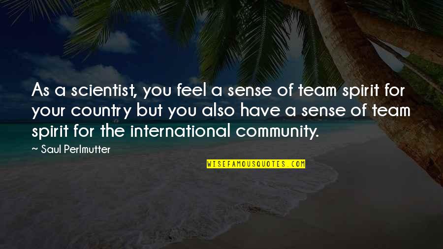 Team Of Team Quotes By Saul Perlmutter: As a scientist, you feel a sense of