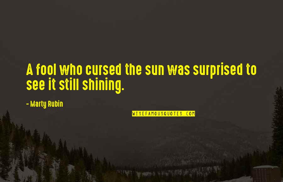 Team Passion Quotes By Marty Rubin: A fool who cursed the sun was surprised