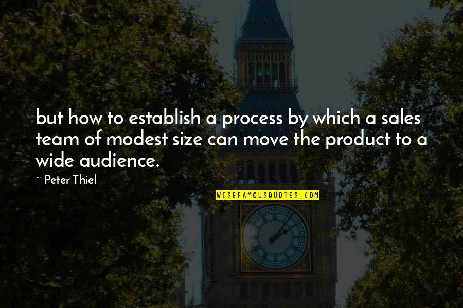 Team Sales Quotes By Peter Thiel: but how to establish a process by which