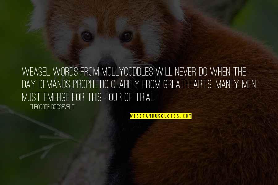 Team Toughness Quotes By Theodore Roosevelt: Weasel words from mollycoddles will never do when Team Toughness Quotes By Theodore Roosevelt: Weasel words from mollycoddles will never do when