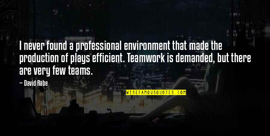 Teams Quotes By David Rabe: I never found a professional environment that made
