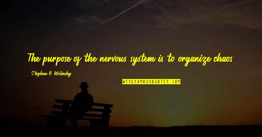 Teamwork Compliment Quotes By Stephen H. Wolinsky: The purpose of the nervous system is to