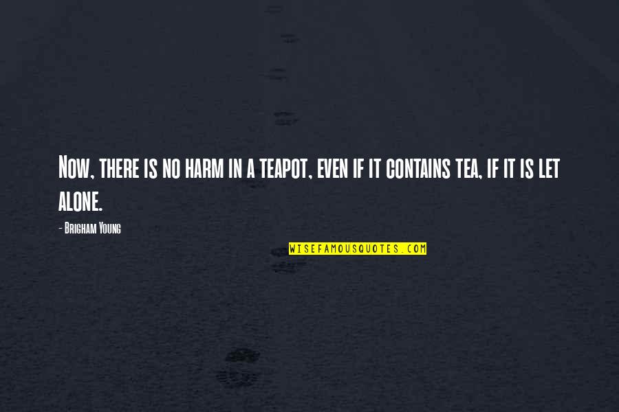 Teapots Quotes By Brigham Young: Now, there is no harm in a teapot,
