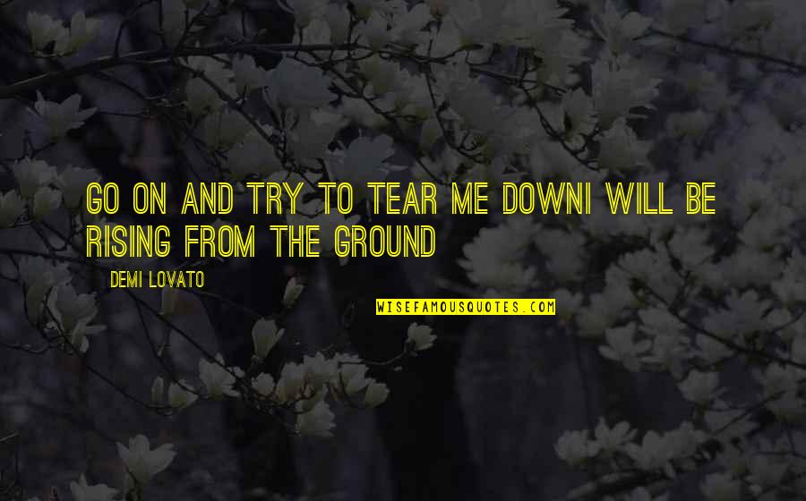 Tear Me Down Quotes By Demi Lovato: Go on and try to tear me downI