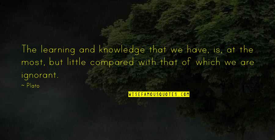 Tearing Us Apart Quotes By Plato: The learning and knowledge that we have, is,