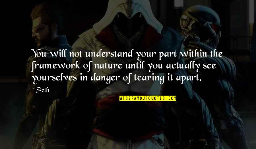 Tearing Us Apart Quotes By Seth: You will not understand your part within the