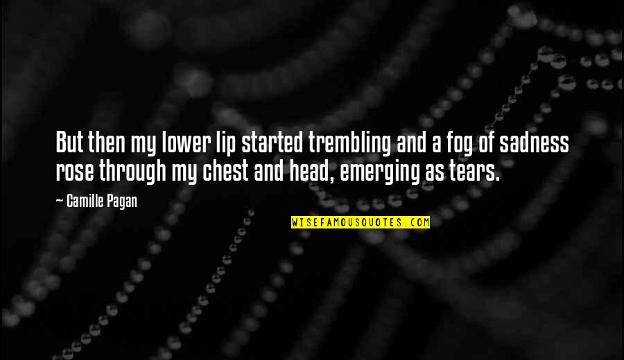 Tears And Crying Quotes By Camille Pagan: But then my lower lip started trembling and