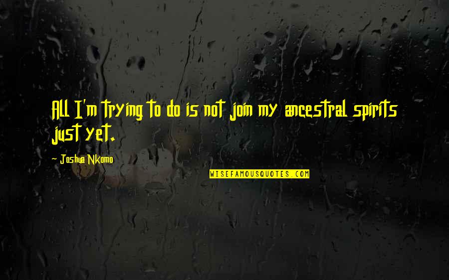 Tears Flowing Quotes By Joshua Nkomo: All I'm trying to do is not join