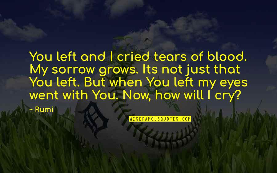 Tears I Cry Quotes By Rumi: You left and I cried tears of blood. Tears I Cry Quotes By Rumi: You left and I cried tears of blood.