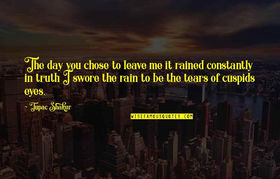 Tears In Eyes Quotes By Tupac Shakur: The day you chose to leave me it