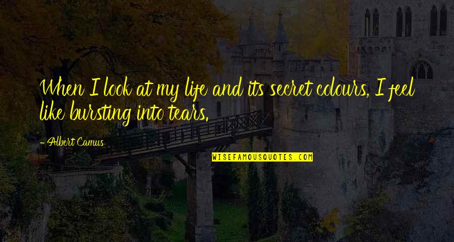 Tears Life Quotes By Albert Camus: When I look at my life and its