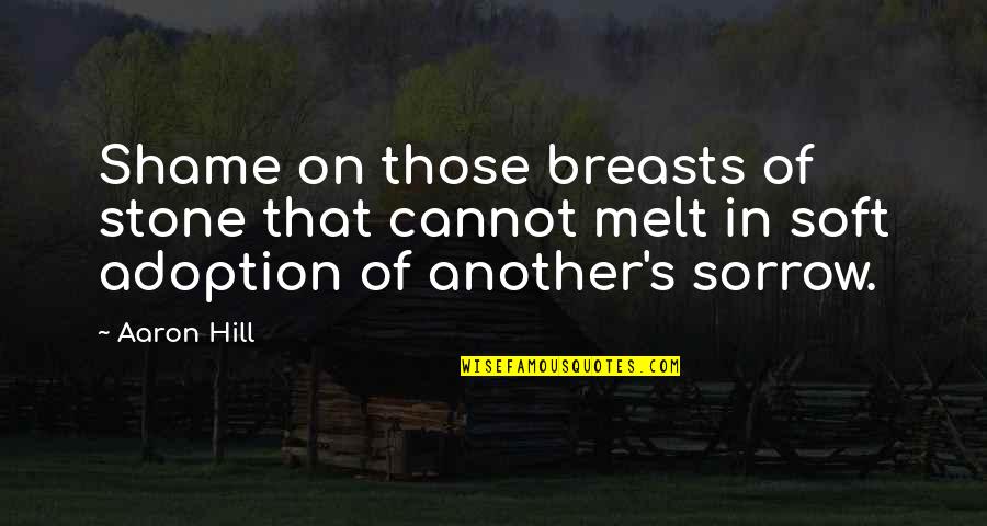 Tears Of Sorrow Quotes By Aaron Hill: Shame on those breasts of stone that cannot