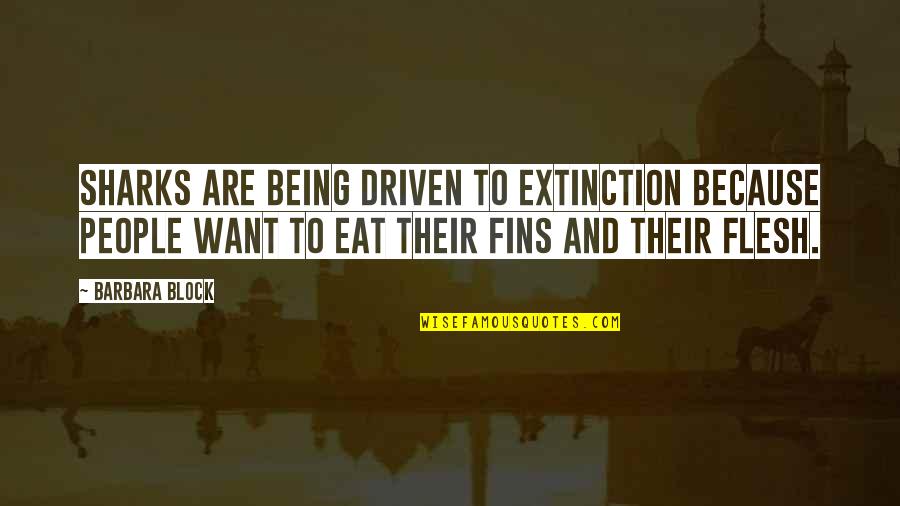Teasing Someone You Love Quotes By Barbara Block: Sharks are being driven to extinction because people