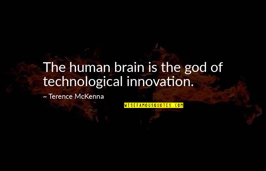 Technological Innovation Quotes By Terence McKenna: The human brain is the god of technological