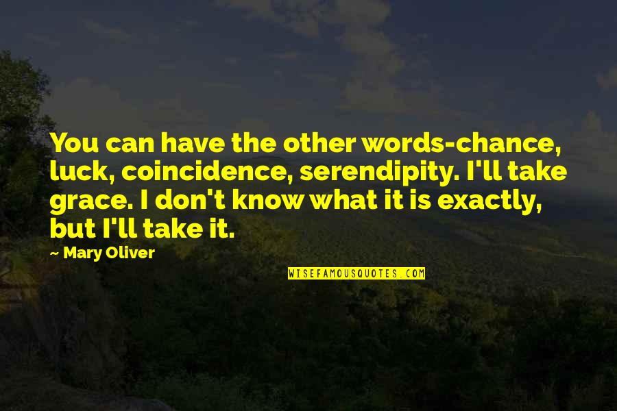 Technology Taking Over The World Quotes By Mary Oliver: You can have the other words-chance, luck, coincidence,