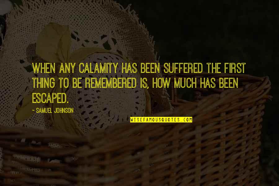 Tectibranchs Quotes By Samuel Johnson: When any calamity has been suffered the first