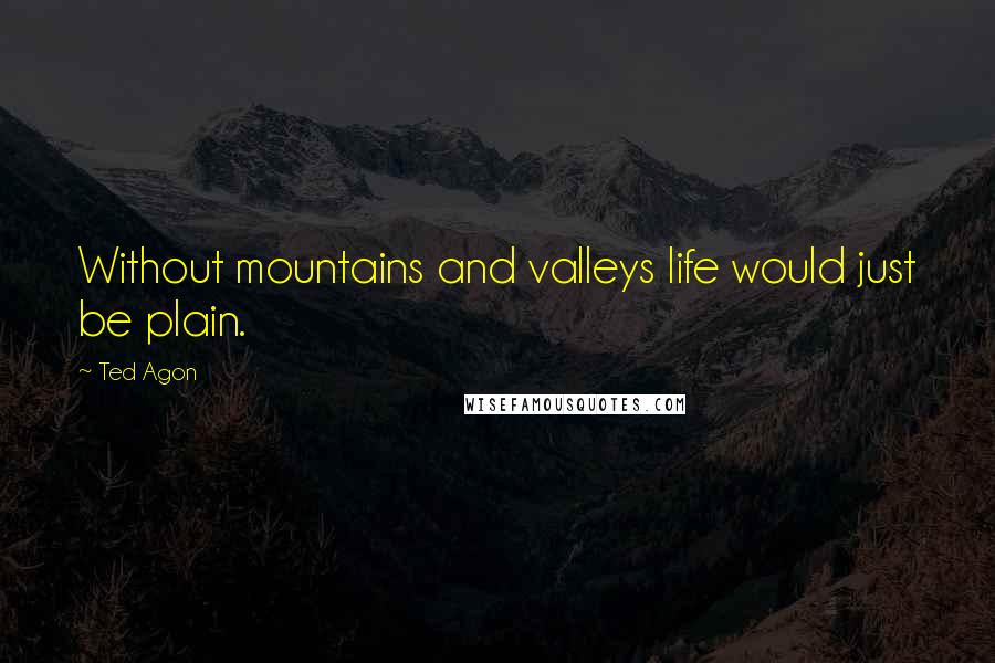 Ted Agon quotes: Without mountains and valleys life would just be plain.