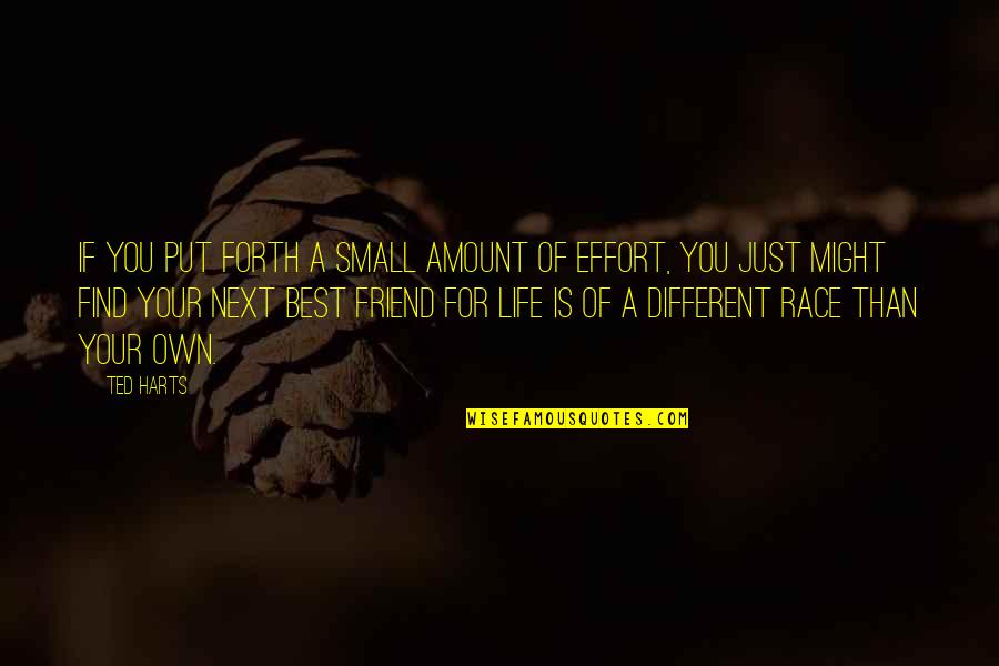 Ted Best Friend Quotes By Ted Harts: If you put forth a small amount of