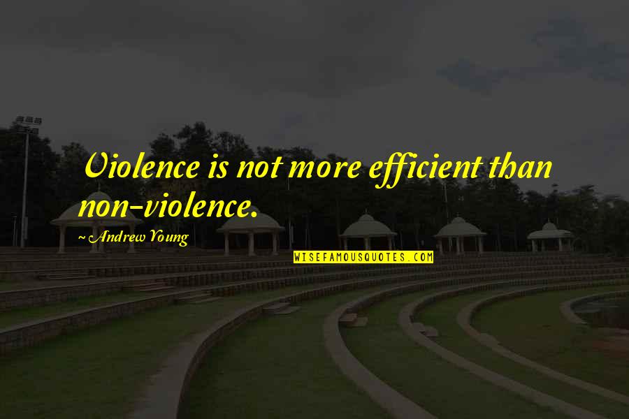 Ted Hopf Quotes By Andrew Young: Violence is not more efficient than non-violence. Ted Hopf Quotes By Andrew Young: Violence is not more efficient than non-violence.