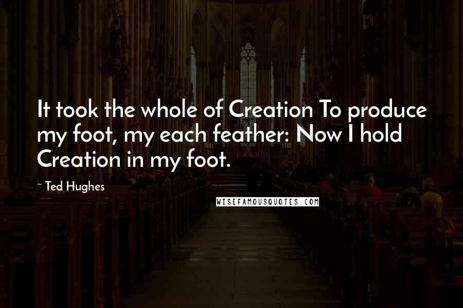 Ted Hughes quotes: It took the whole of Creation To produce my foot, my each feather: Now I hold Creation in my foot.