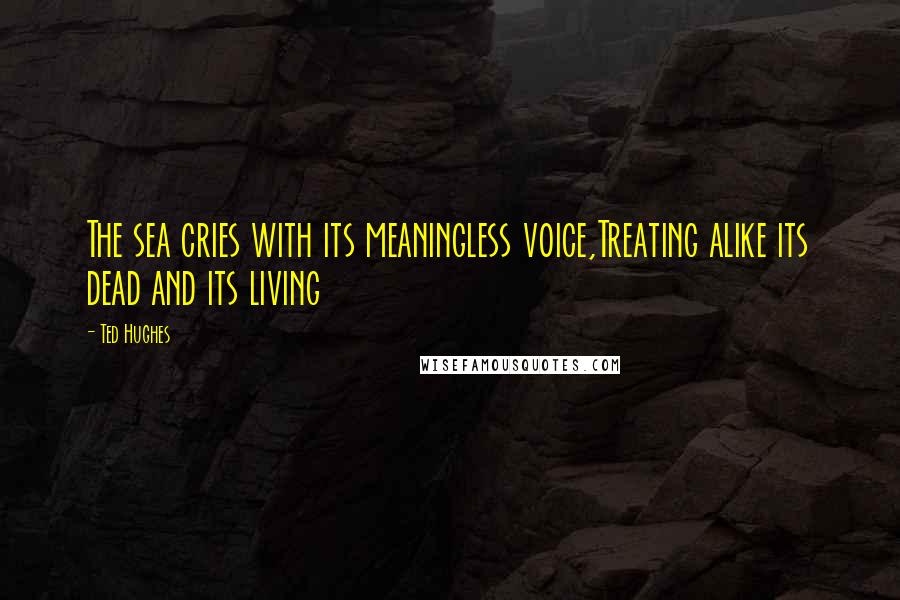 Ted Hughes quotes: The sea cries with its meaningless voice,Treating alike its dead and its living