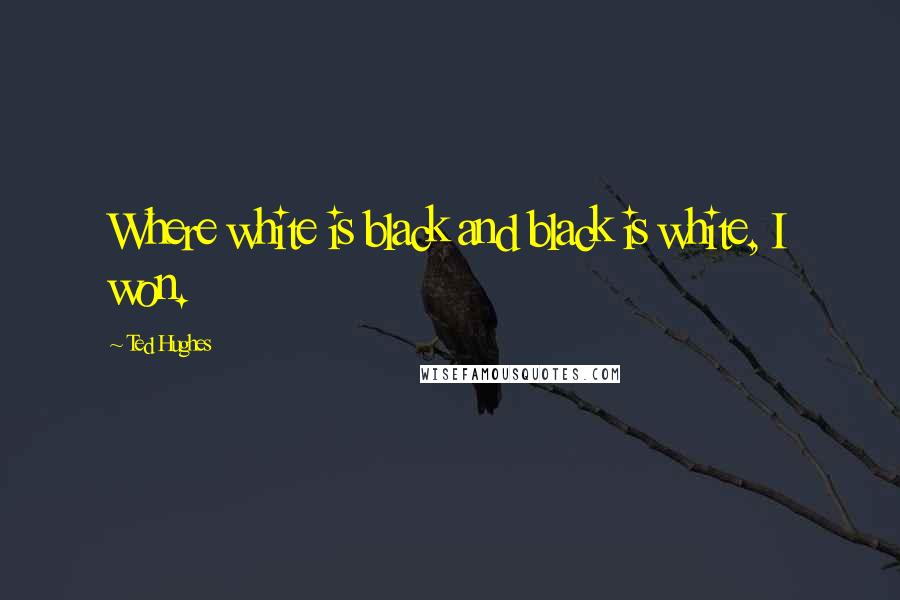 Ted Hughes quotes: Where white is black and black is white, I won.