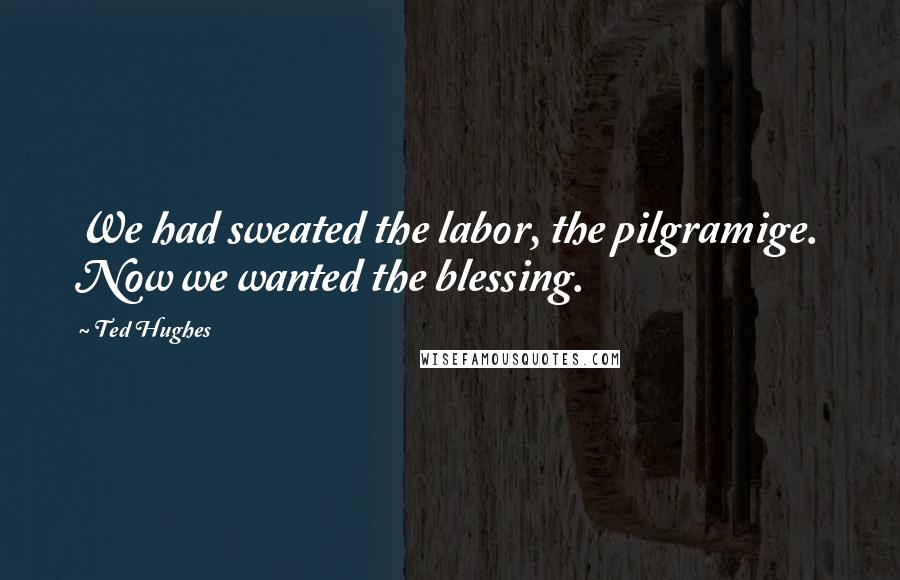 Ted Hughes quotes: We had sweated the labor, the pilgramige. Now we wanted the blessing.