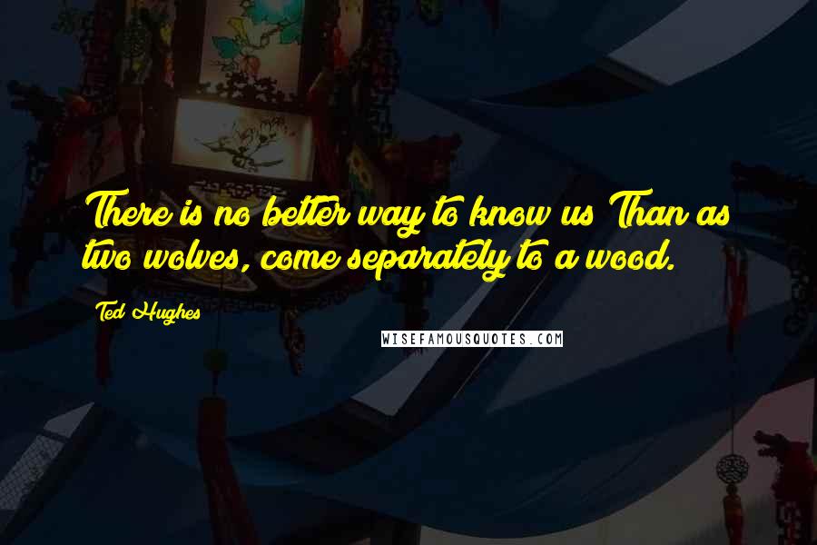 Ted Hughes quotes: There is no better way to know us Than as two wolves, come separately to a wood.