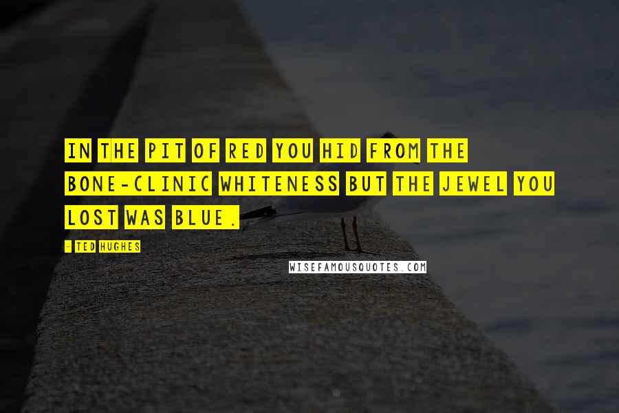 Ted Hughes quotes: In the pit of red You hid from the bone-clinic whiteness But the jewel you lost was blue.