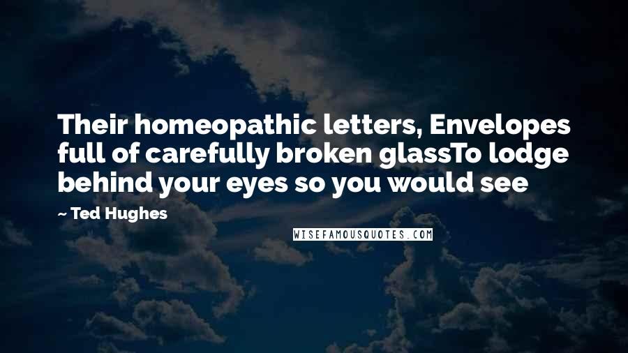 Ted Hughes quotes: Their homeopathic letters, Envelopes full of carefully broken glassTo lodge behind your eyes so you would see