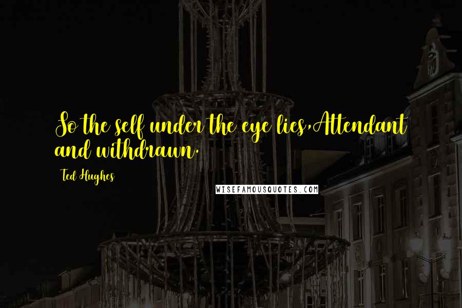 Ted Hughes quotes: So the self under the eye lies,Attendant and withdrawn.