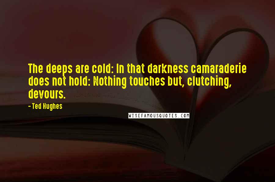 Ted Hughes quotes: The deeps are cold: In that darkness camaraderie does not hold: Nothing touches but, clutching, devours.