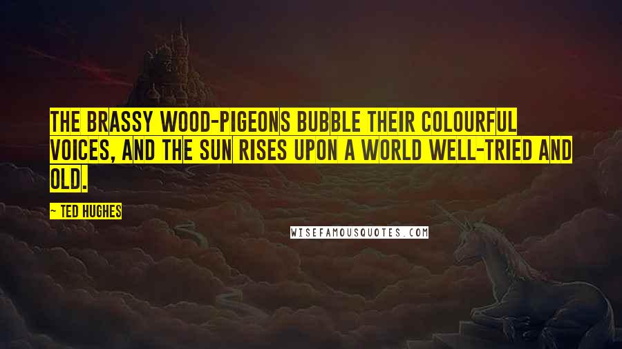 Ted Hughes quotes: The brassy wood-pigeons Bubble their colourful voices, and the sun Rises upon a world well-tried and old.