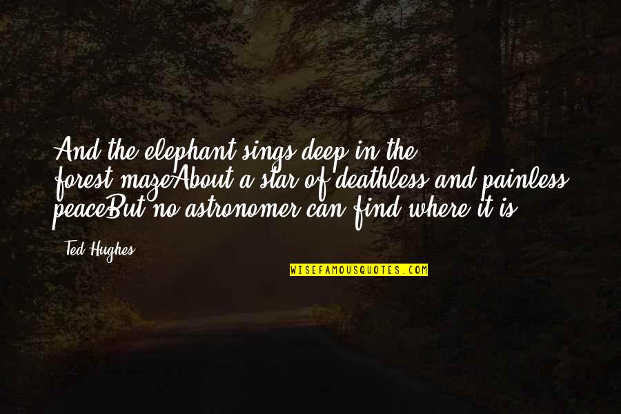 Ted Hughes Quotes By Ted Hughes: And the elephant sings deep in the forest-mazeAbout Ted Hughes Quotes By Ted Hughes: And the elephant sings deep in the forest-mazeAbout
