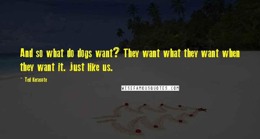 Ted Kerasote quotes: And so what do dogs want? They want what they want when they want it. Just like us.