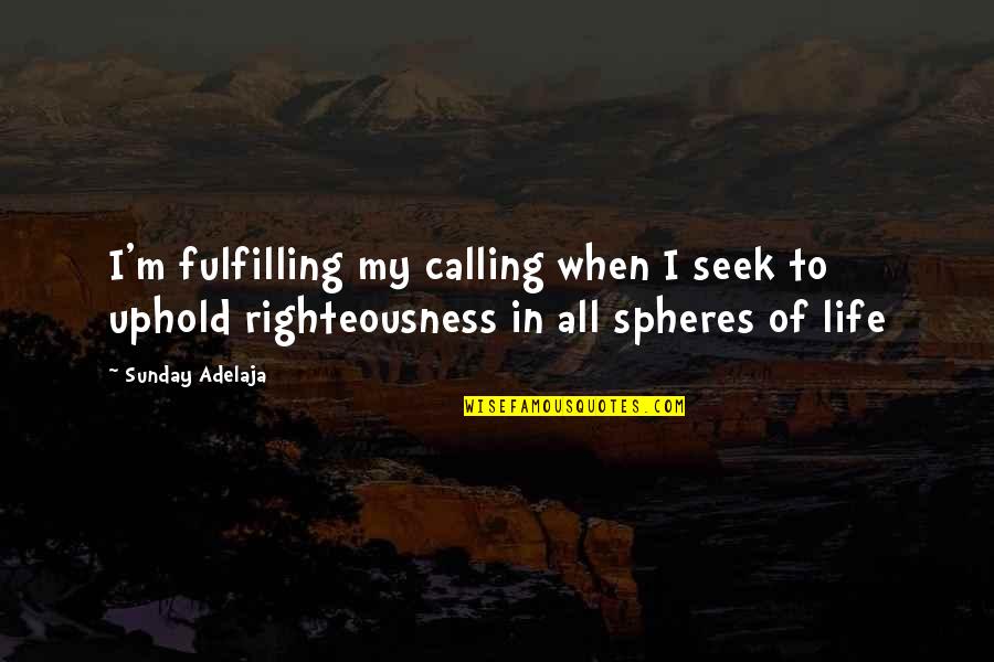 Ted Lasso Kindness Quotes By Sunday Adelaja: I'm fulfilling my calling when I seek to Ted Lasso Kindness Quotes By Sunday Adelaja: I'm fulfilling my calling when I seek to