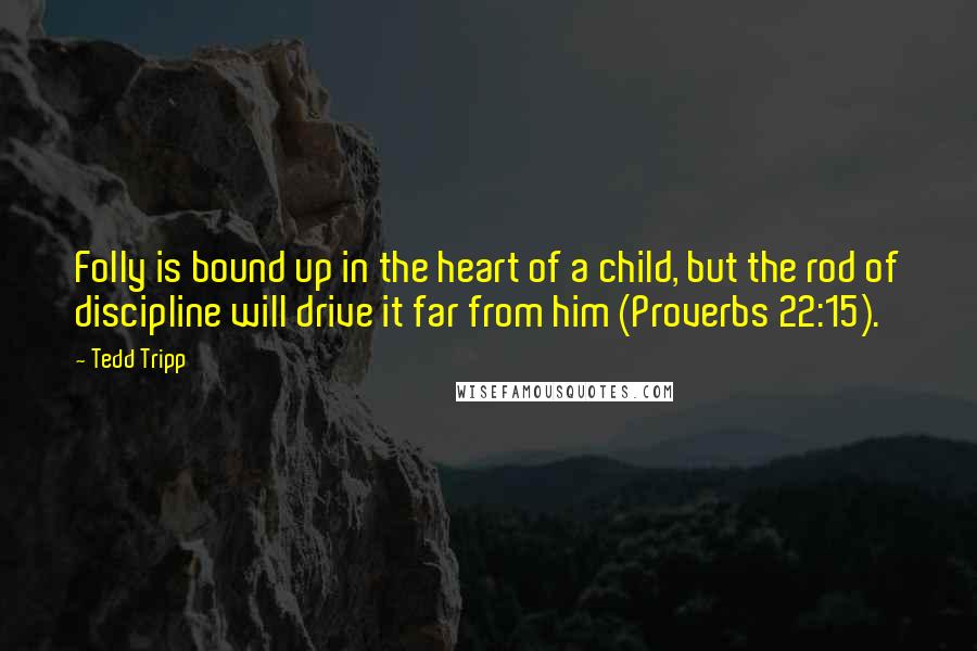 Tedd Tripp quotes: Folly is bound up in the heart of a child, but the rod of discipline will drive it far from him (Proverbs 22:15).