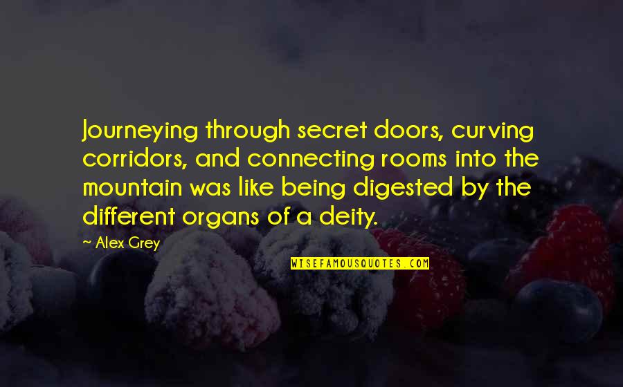 Teemu Sel Nne Quotes By Alex Grey: Journeying through secret doors, curving corridors, and connecting