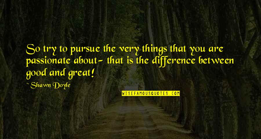 Teenage Girl Sayings And Quotes By Shawn Doyle: So try to pursue the very things that