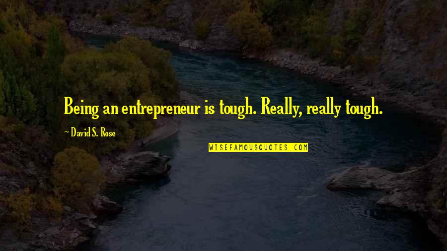 Teenage Pressure Quotes By David S. Rose: Being an entrepreneur is tough. Really, really tough.