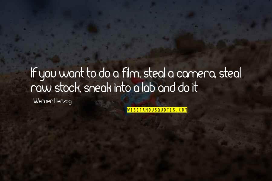 Teensy Bikinis Quotes By Werner Herzog: If you want to do a film, steal