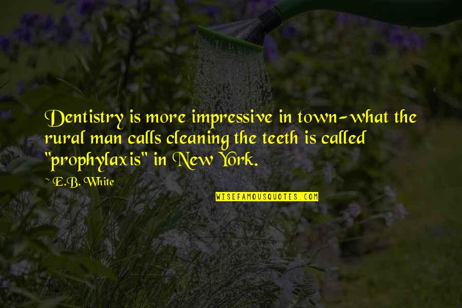 Teeth Cleaning Quotes By E.B. White: Dentistry is more impressive in town-what the rural