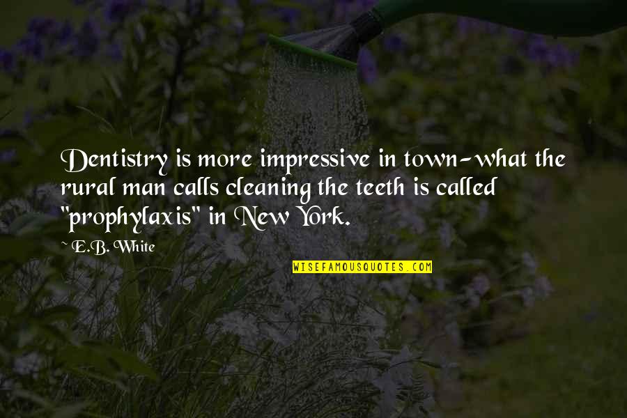 Teeth In White Teeth Quotes By E.B. White: Dentistry is more impressive in town-what the rural