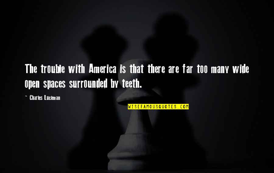 Teeth Quotes By Charles Luckman: The trouble with America is that there are