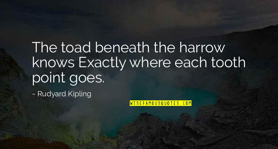 Teeth Tooth Quotes By Rudyard Kipling: The toad beneath the harrow knows Exactly where