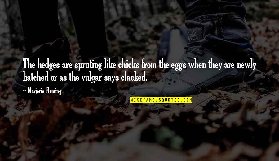 Teethed Turtles Quotes By Marjorie Fleming: The hedges are spruting like chicks from the Teethed Turtles Quotes By Marjorie Fleming: The hedges are spruting like chicks from the