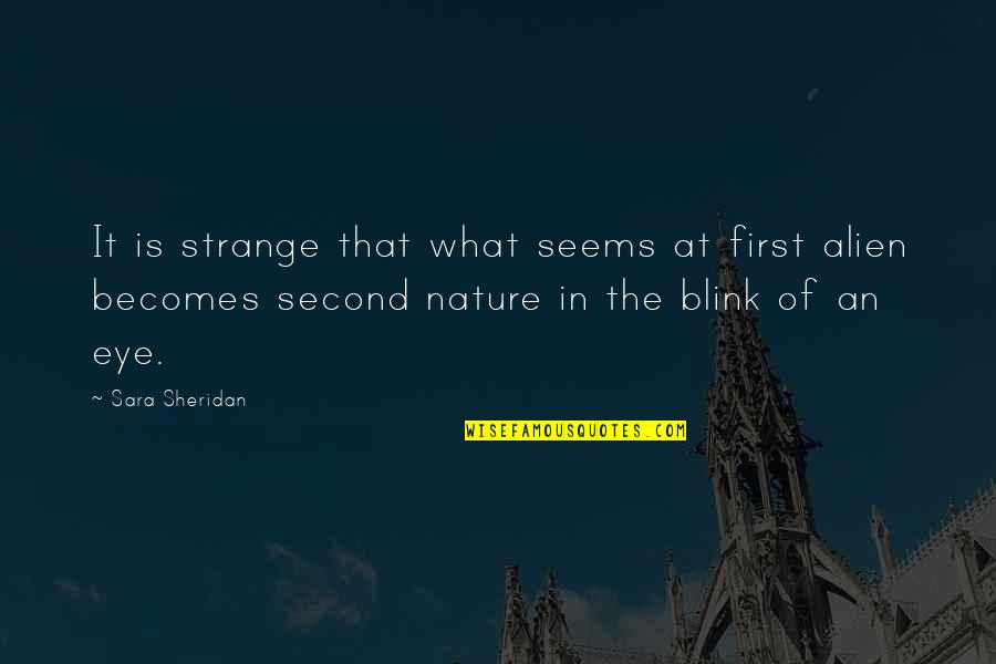 Tehrans New Quotes By Sara Sheridan: It is strange that what seems at first Tehrans New Quotes By Sara Sheridan: It is strange that what seems at first