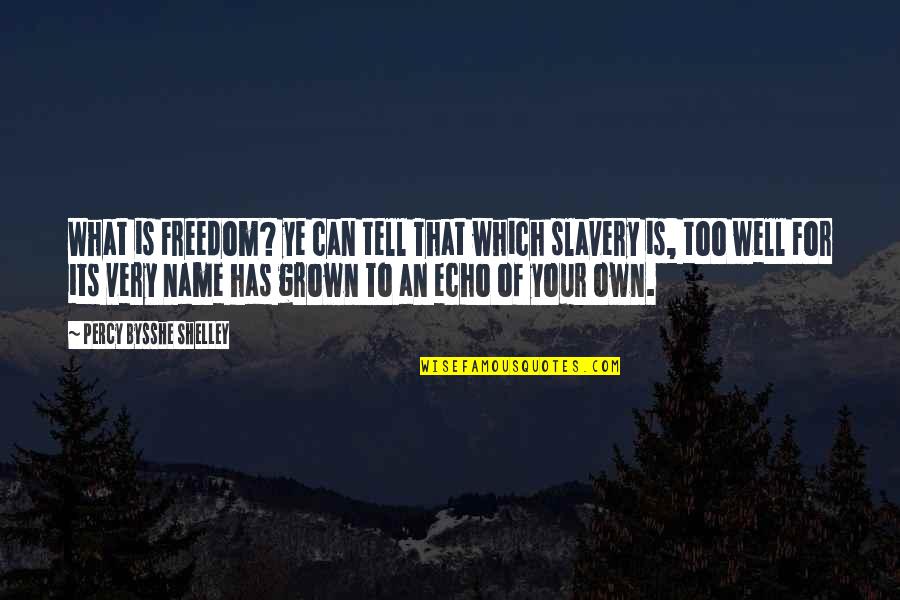 Teichman Ronald Quotes By Percy Bysshe Shelley: What is Freedom? ye can tell That which