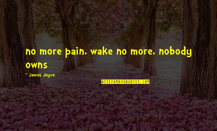 Teinert Designs Quotes By James Joyce: no more pain. wake no more. nobody owns Teinert Designs Quotes By James Joyce: no more pain. wake no more. nobody owns